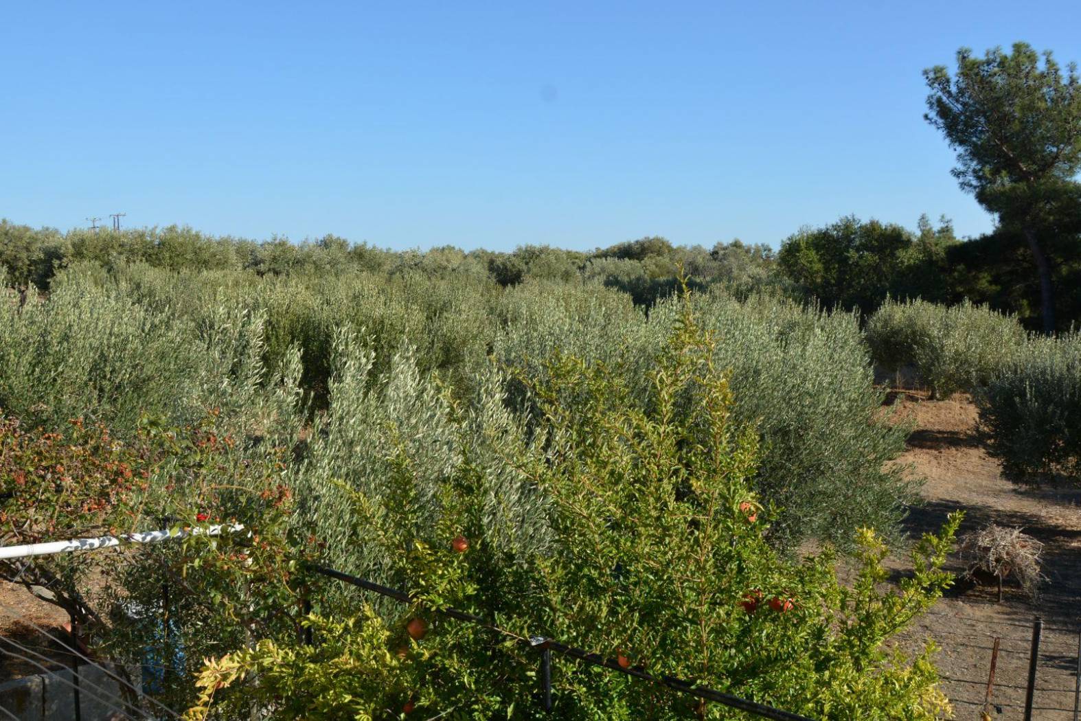 Single family villa Παπά Εμμ., Mesimeri, Epanomi image 2