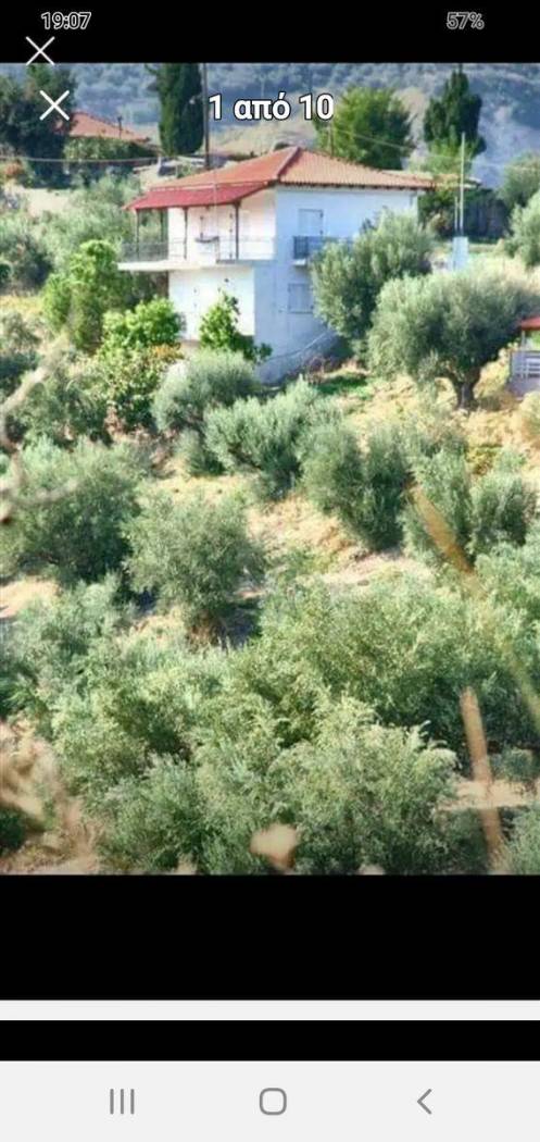 Duplex Συνανιά, Center, Erineo image 2