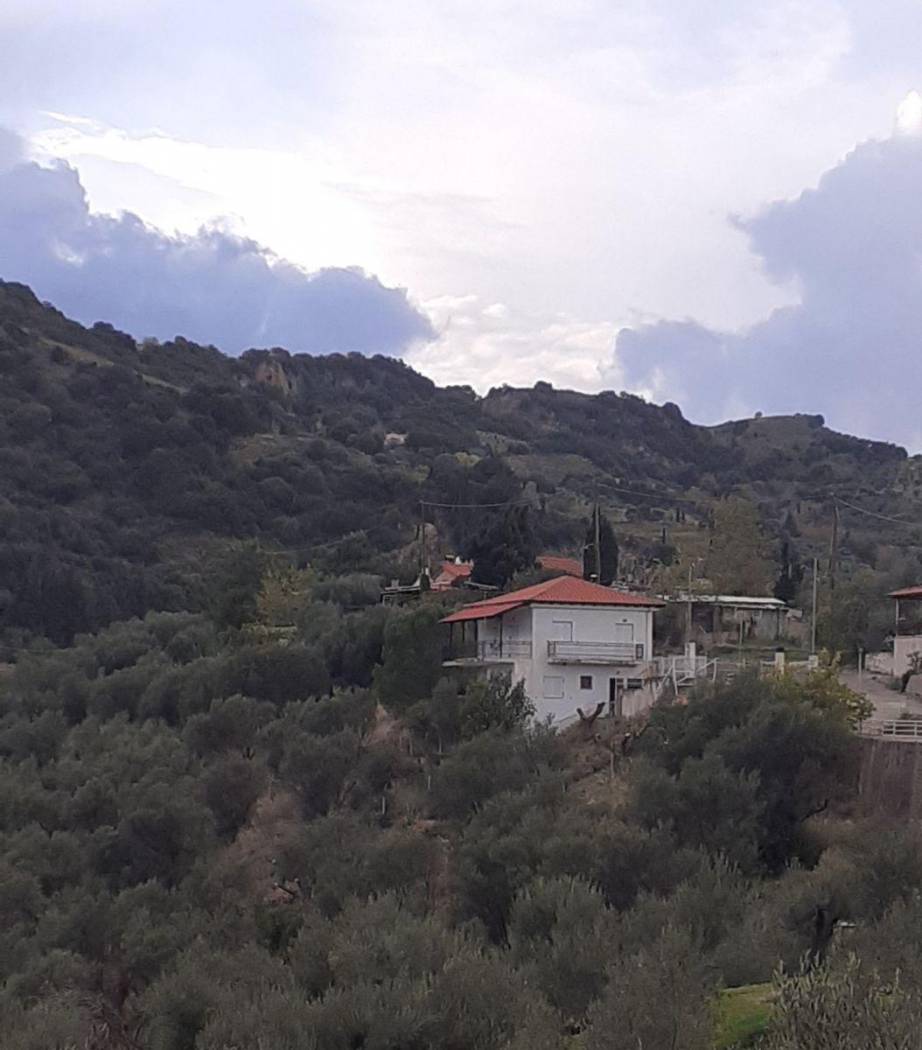 Duplex Συνανιά, Center, Erineo