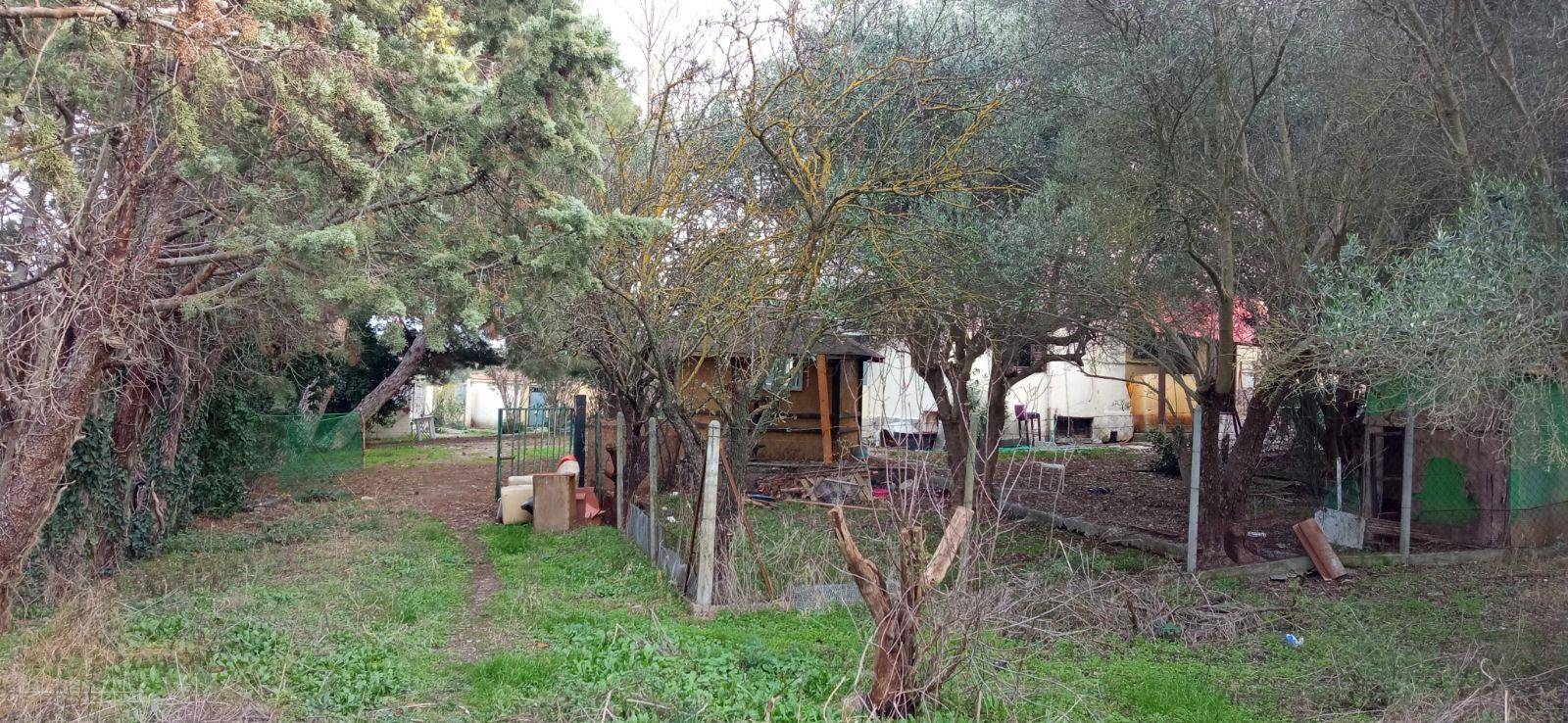 Single family villa Οσίας Ξένης 3 – Επ. Οδ. 27-Γ. Σχολής Θεσ.-Μηχανιώνα, 3, Peraia, Thermaikos image 2