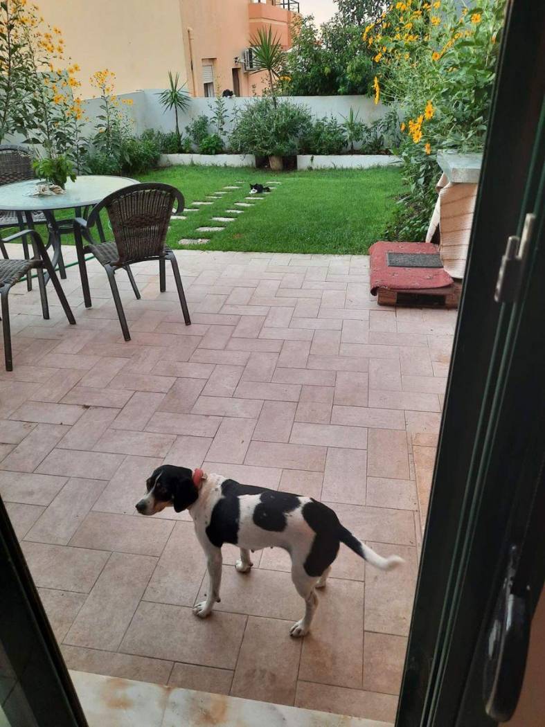 Duplex Σταυρόπουλου Βασ., 122, Kato Kastritsi, Rio