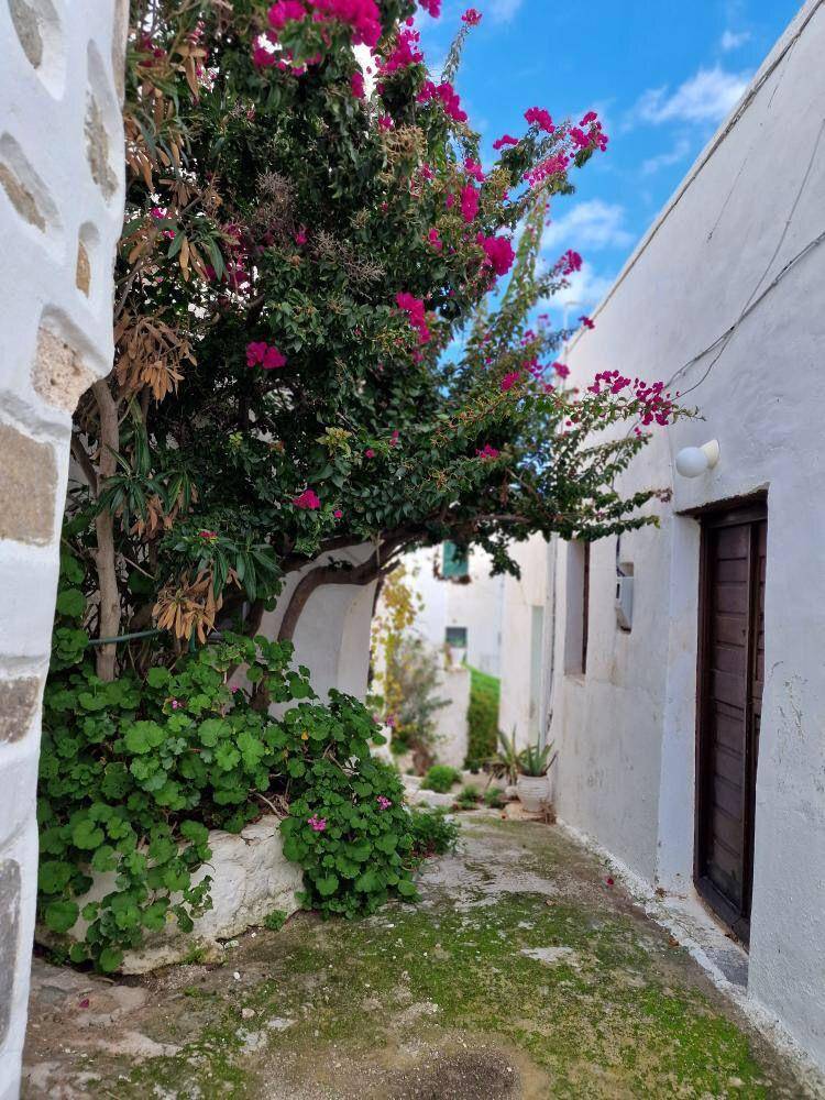 Duplex Ep. Odos Livadiou-Mega Livadiou, Main town – Chora, Serifos