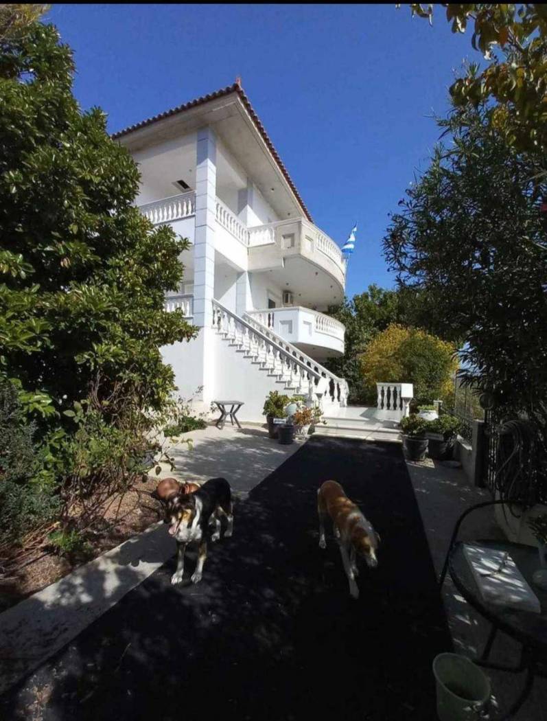 Single family villa Πρωτοπρεσβυτέρου Τσιγκούνη Ι., Grammousa, Skala