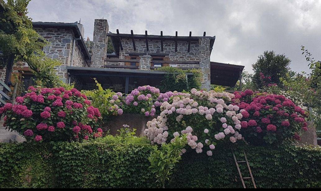 Single family villa Eparchiaki Odos 7-Zagora-Pouri, Center, Zagora