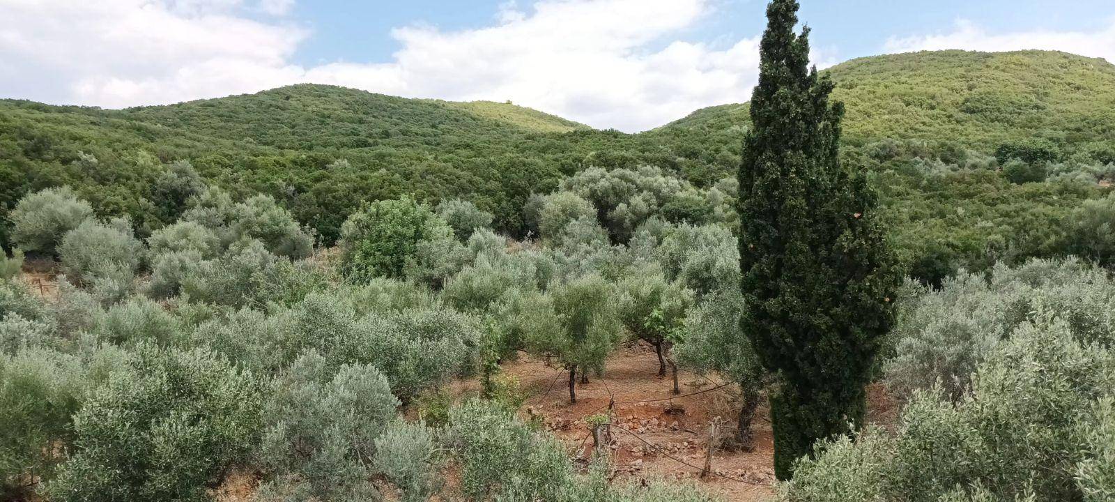 Duplex Εθνική Οδός Σπάρτης-Καλαμάτας, 8ο χιλιόμετρο, Karveli, Kalamata image 2