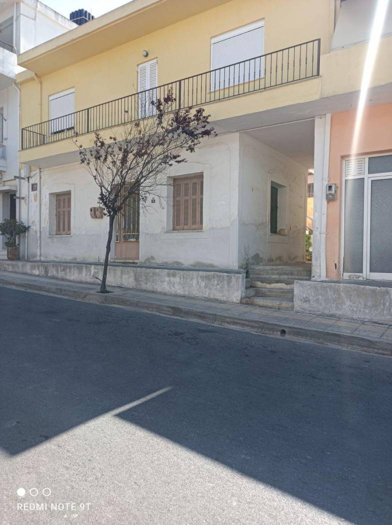 Studio Βενιζέλου Ελευθερίου, 16, Agies Paraskies, Nikos Kazantzakis image 2