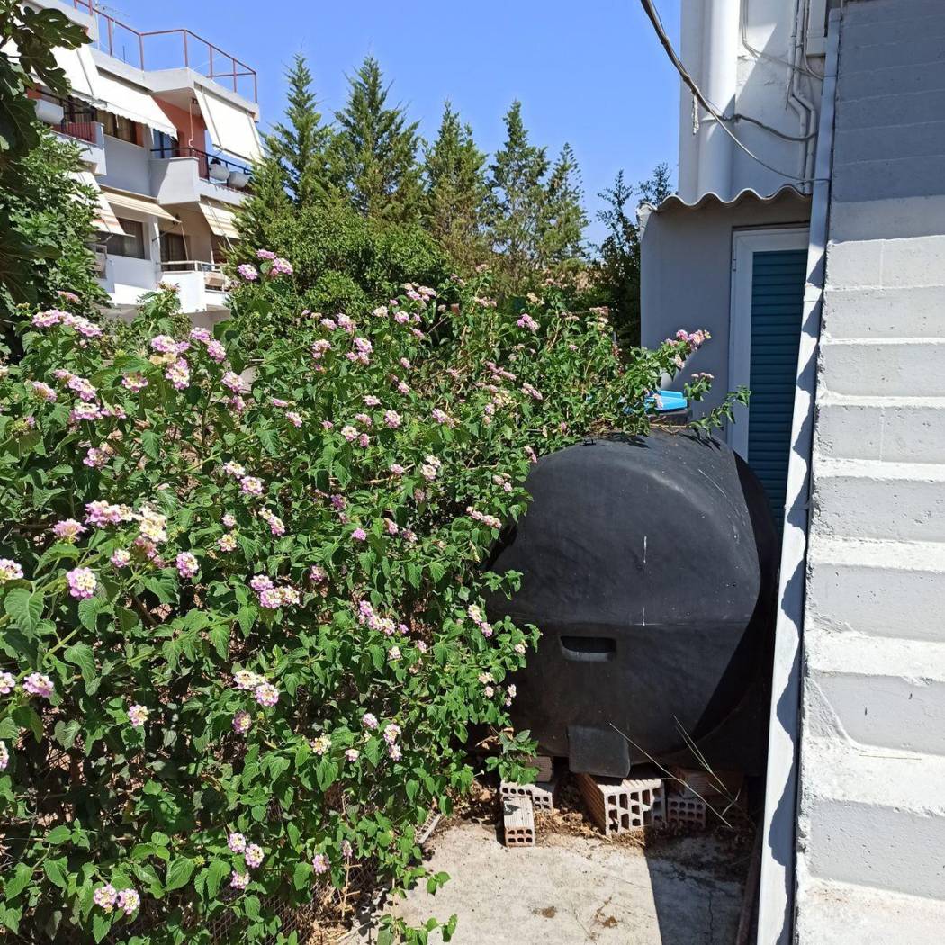 Duplex Λεωφόρος Σαλαμίνος, Kaki Vigla, Salamina image 2