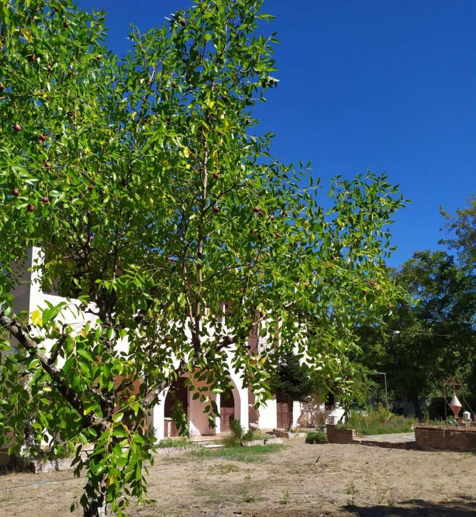 Building for Sale image 2