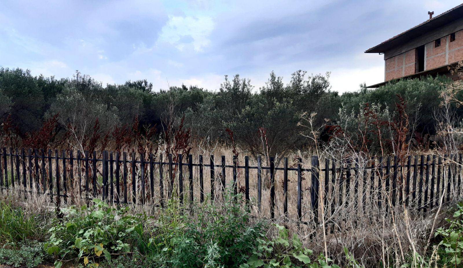 Building for Sale image 2