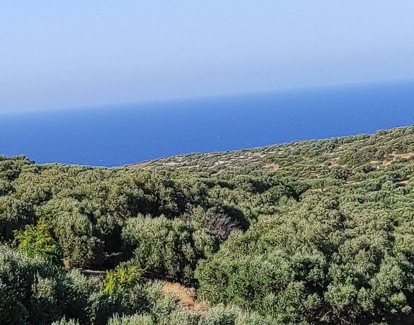 Studio Γεννηματά Γεωργίου, 33, Center, Siteia