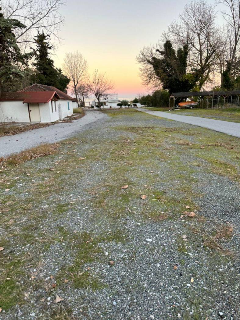 Building for Sale image 2