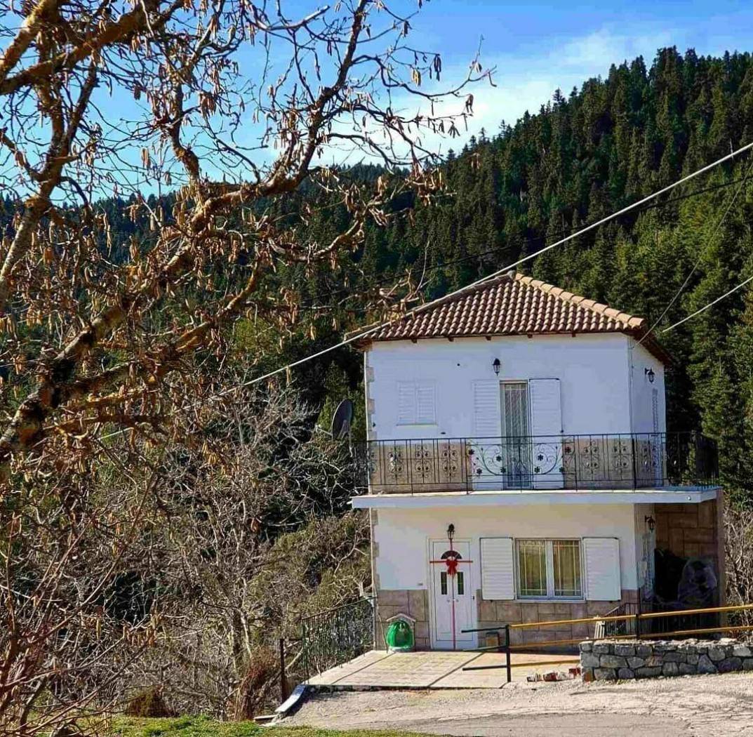Duplex Ελάτι, Elati, Vitina
