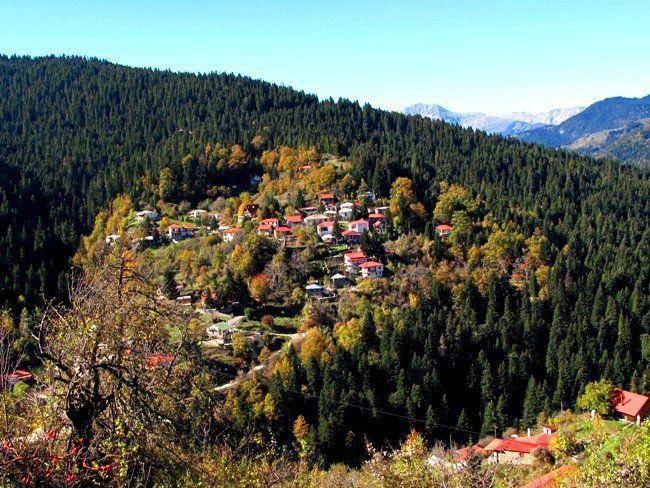 Duplex Επ. Οδός 21-Κρανιάς-Μηλιάς, Gorgogiri, Koziakas