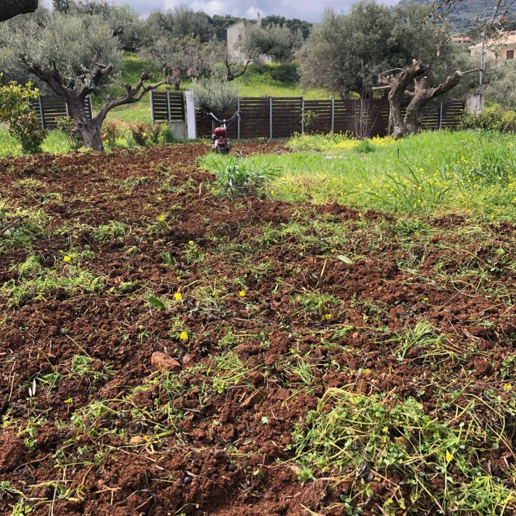 Duplex Αμπέλου, Ampelos, Akrata image 2