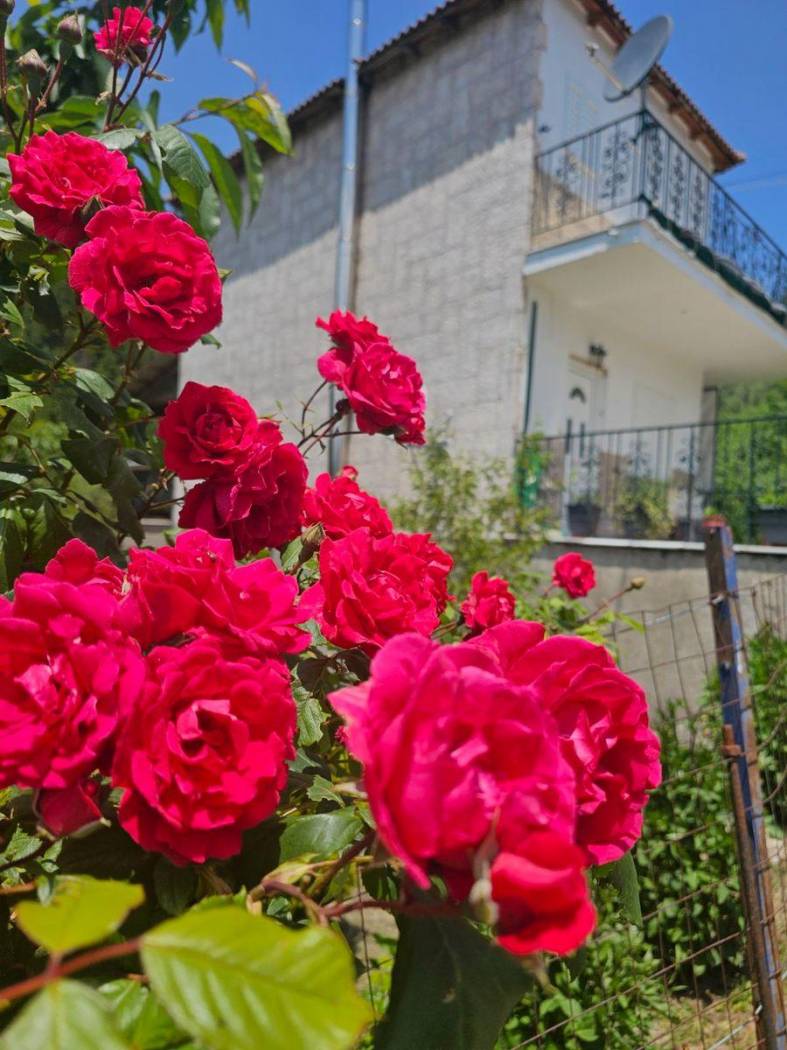 Duplex Ελάτη, 22010, Elati, Vitina image 2