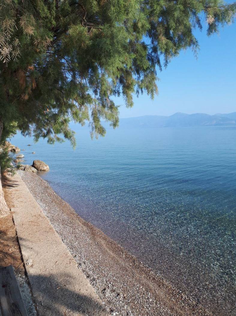 Duplex Φιλιπποπούλου Ηλία, Center, Diakopto