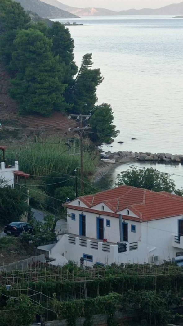 Building for Sale image 2