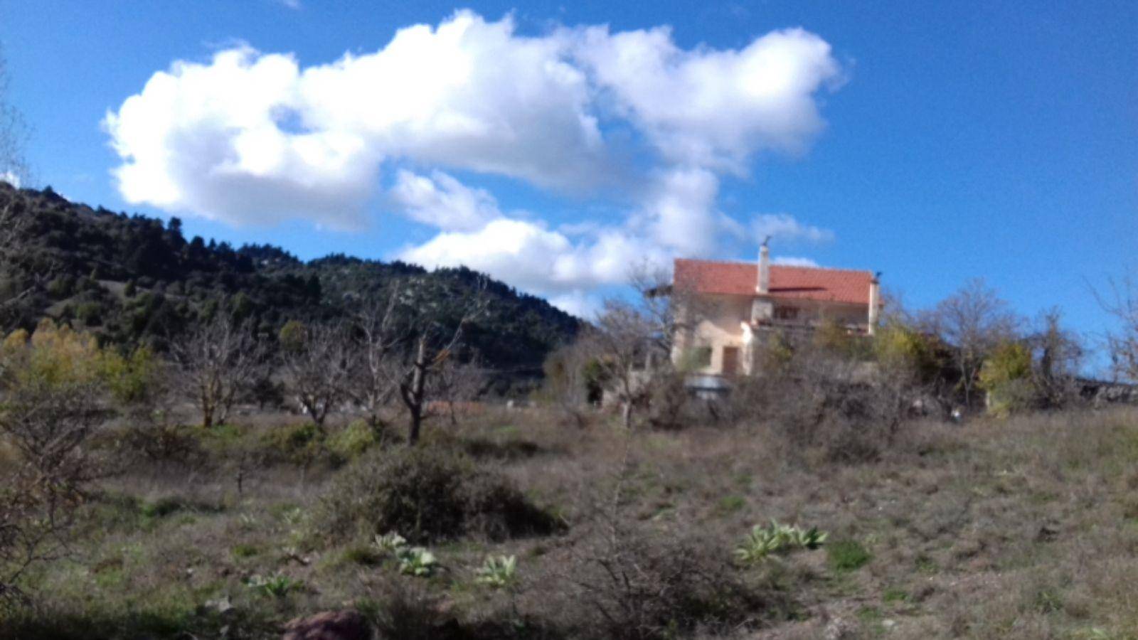 Single family villa Ελικώνας, Center, Livadeia image 2