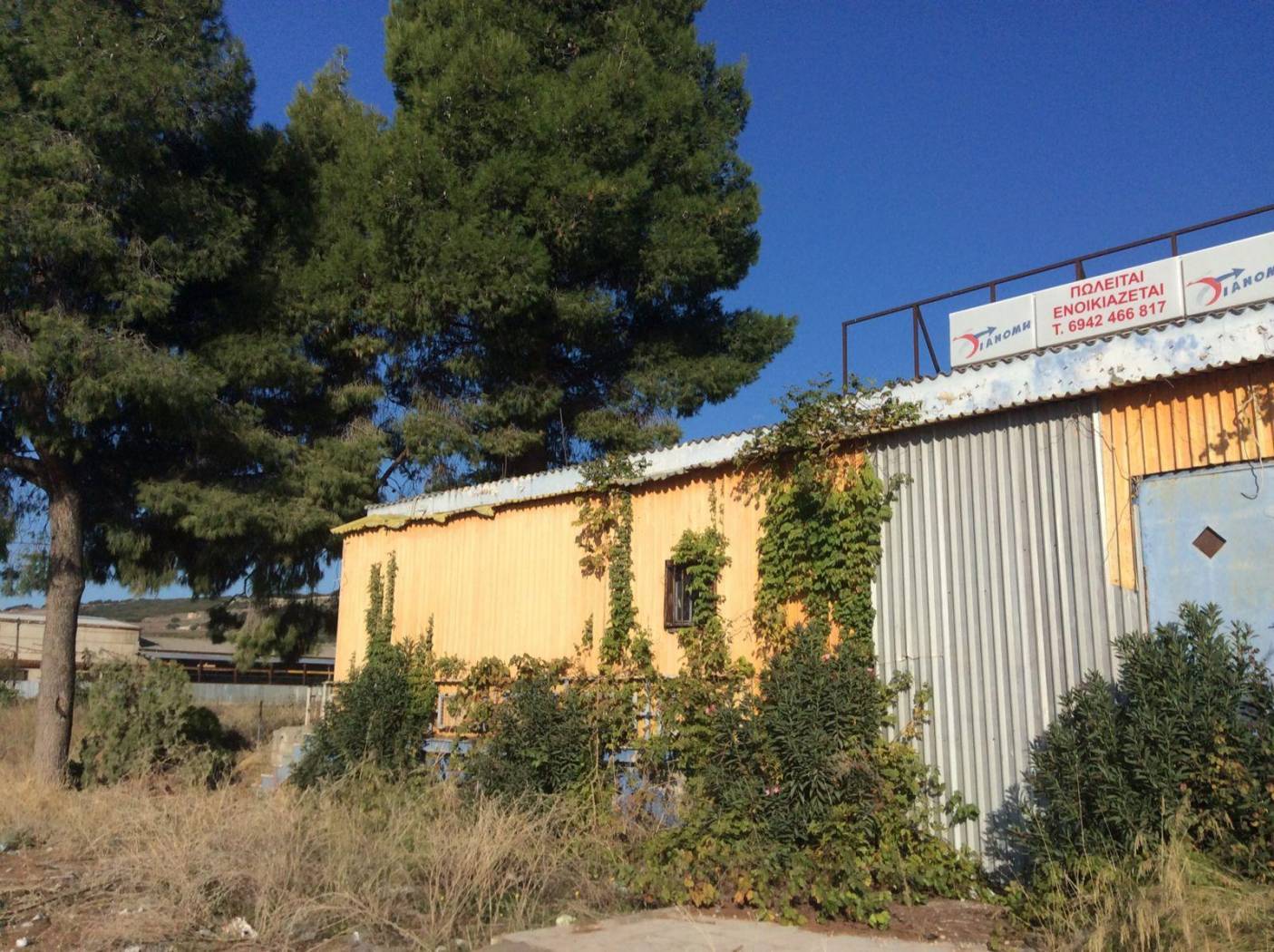 Building for Sale image 2