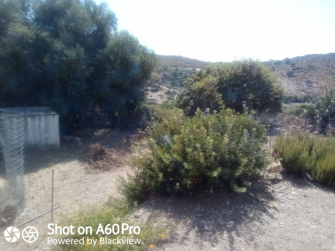 Duplex Επαρχιακή Οδός Γούρνας, Agia Marina, Leros image 2