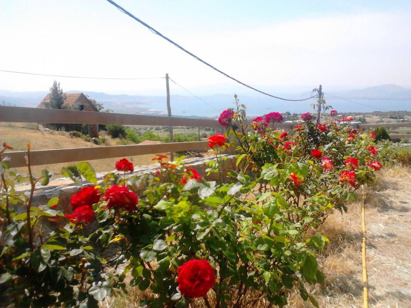 Single family villa 147 m², Kamaritsa, Messapia image 2