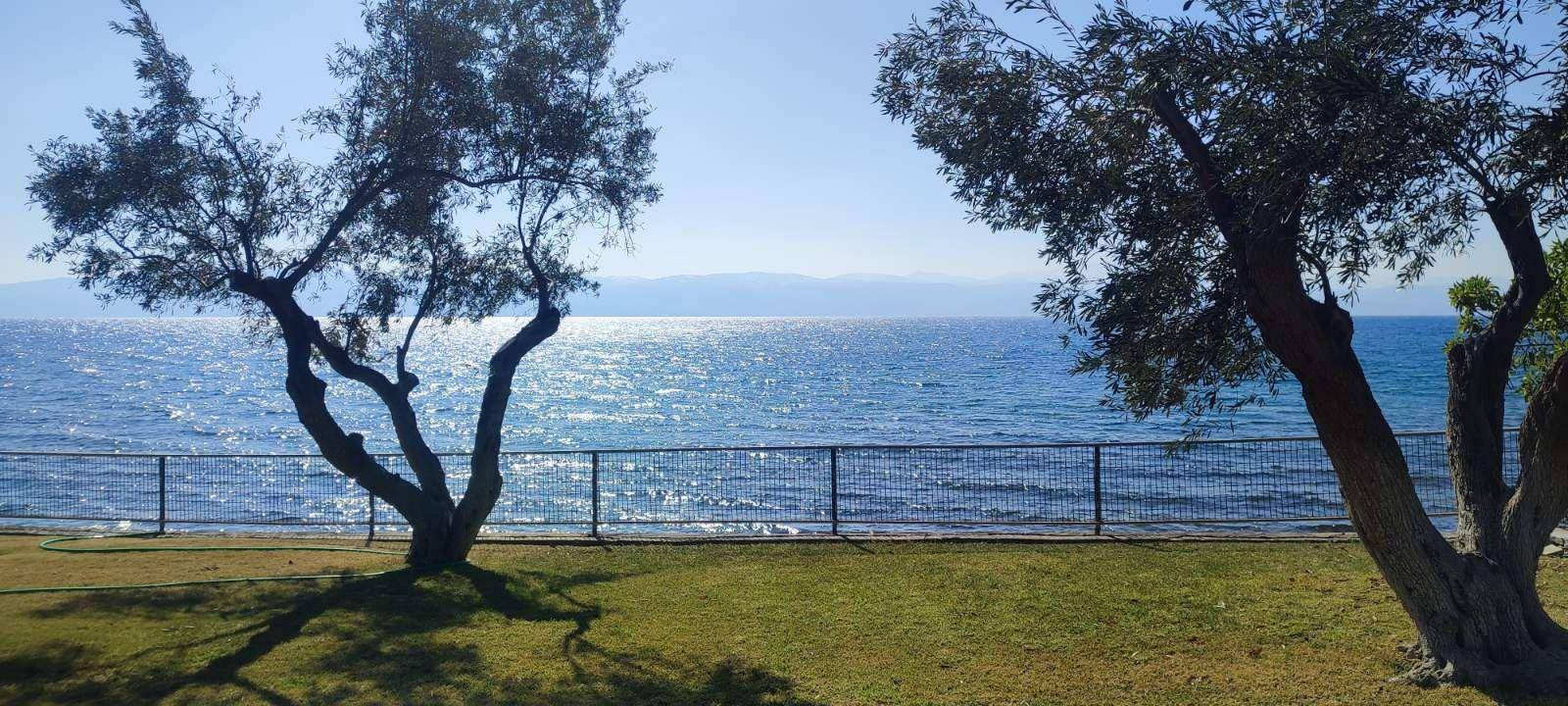 Duplex Χαλκίδας-Λεπούρων, Center, Amarinthos