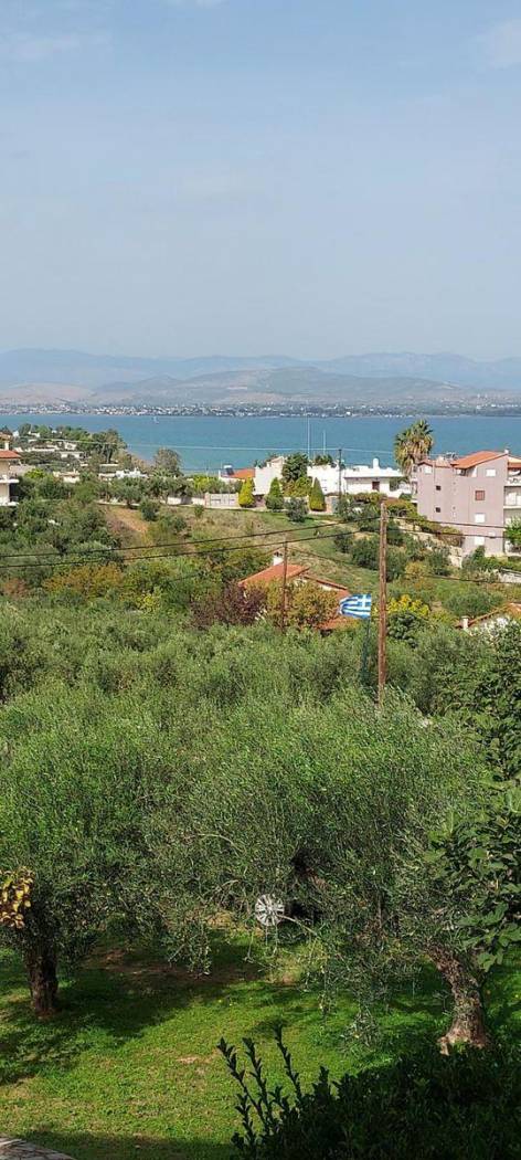 Single family villa Μεγάλου Αλεξάνδρου, 1, Paralia Avlidas, Avlida image 2