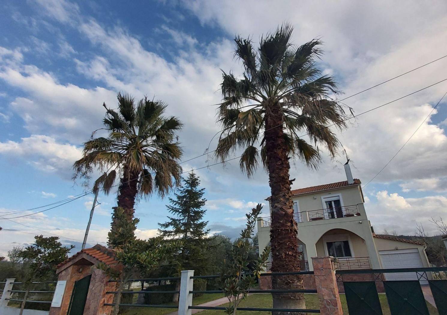 Duplex ανυνυμος,, Center, Artemisio