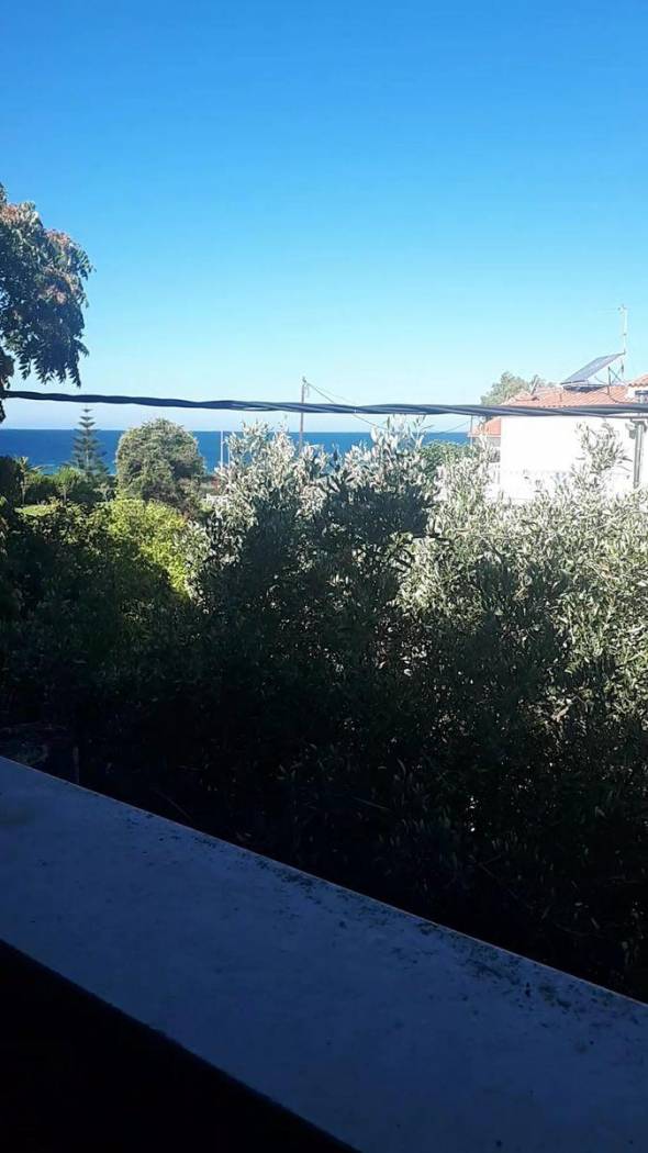 Building for Sale image 2