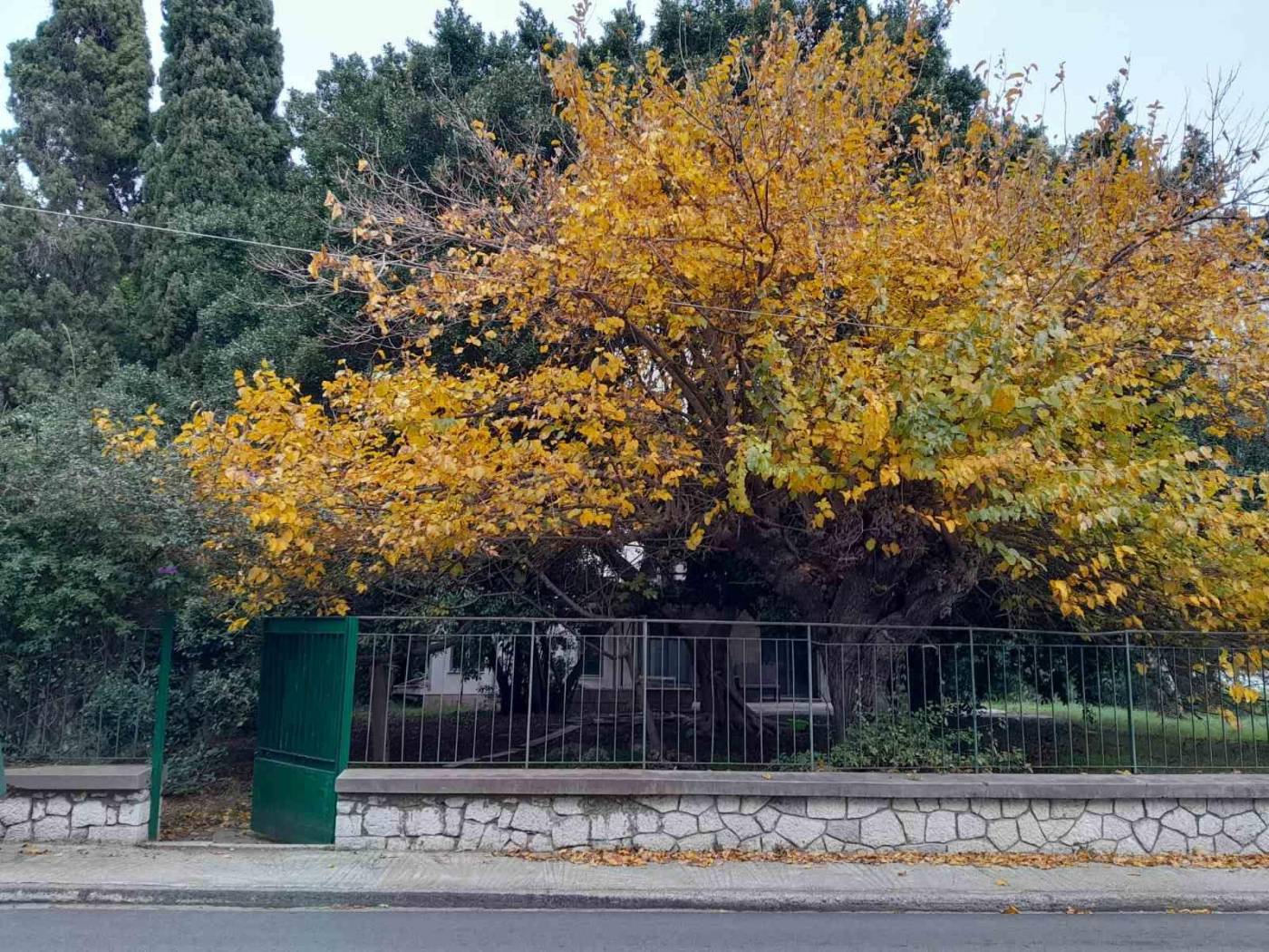 Single family villa Σώμερσετ, 42, Center, Rio