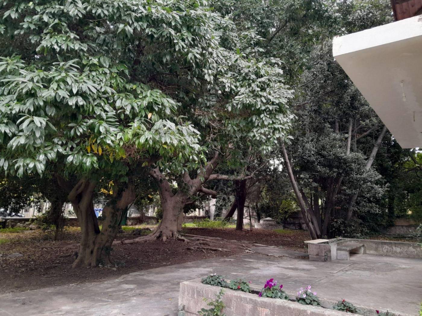 Single family villa Σώμερσετ, 42, Center, Rio image 2