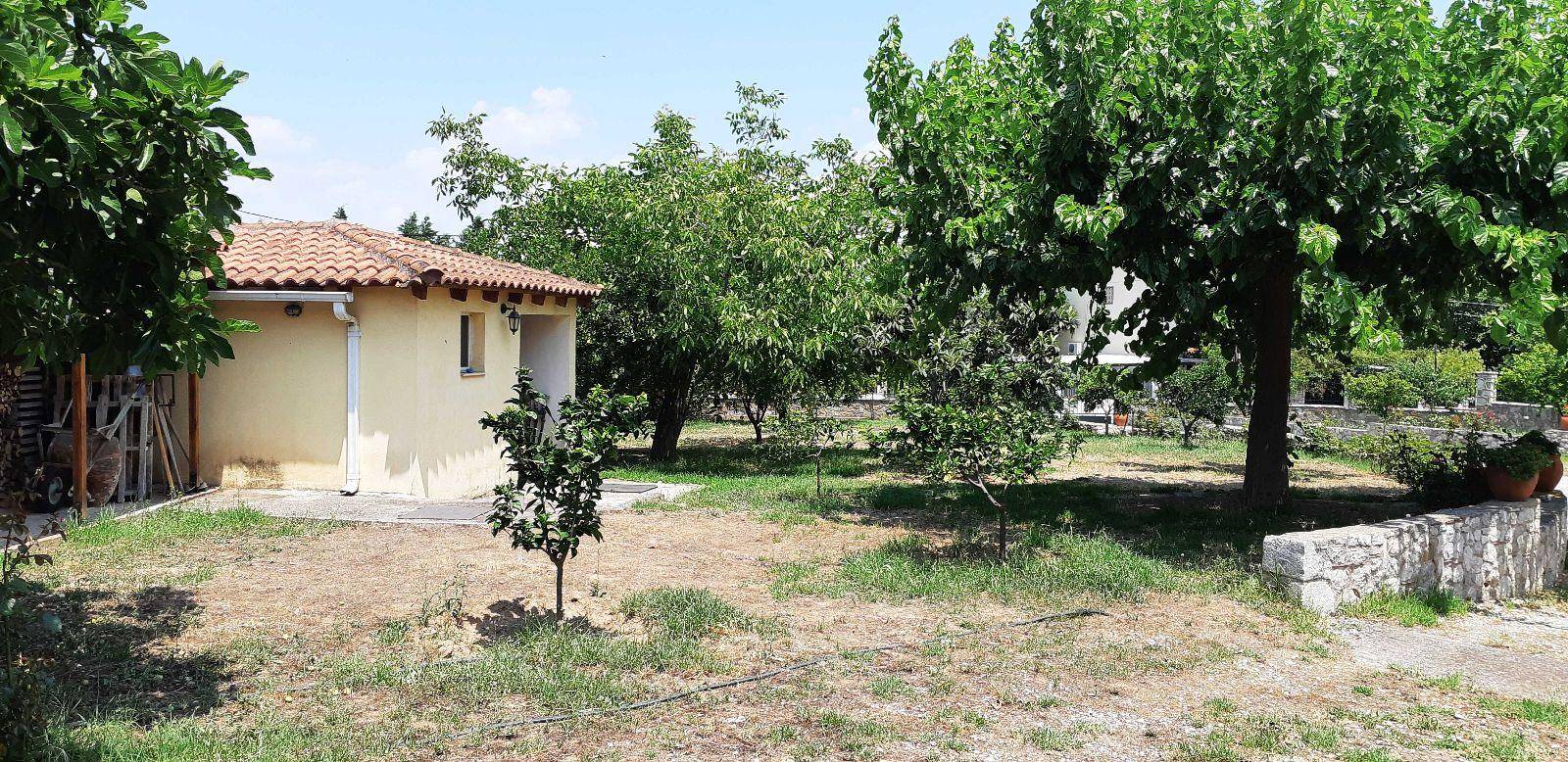 Duplex Παλαιά Εθνική Οδός Κορίνθου-Πατρών, 8, Eliki, Diakopto image 2