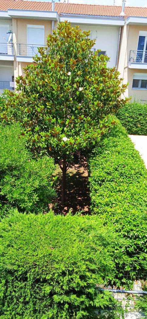 Duplex Μυριβήλη Στρατή, 29, Center, Thermi image 2